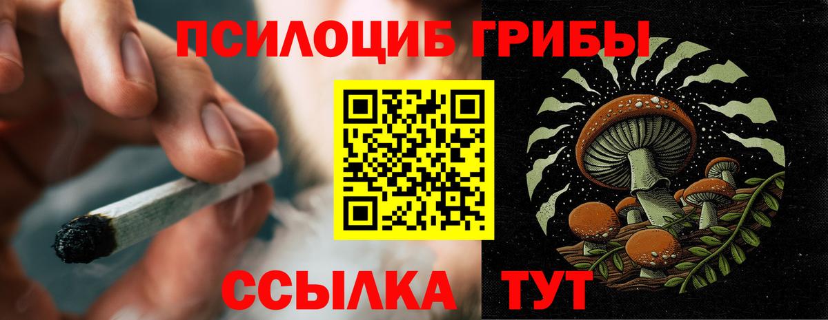 Галлюциногенные грибы MAGIC MUSHROOMS Дубна